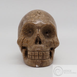 Jasper Skull (J28)