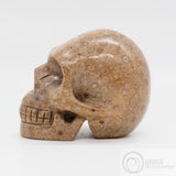 Jasper Skull (J28)