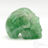 Fluorite Skull (Flu18)