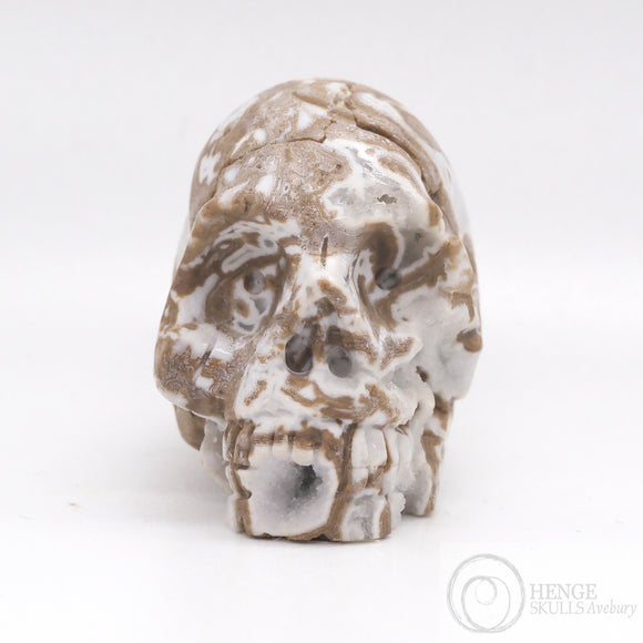 Cala Vera Stone Skull (CV11)