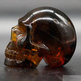 Amber Human Skull