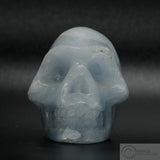 Aquamarine Human Skull