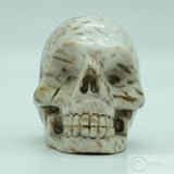 *RESERVED* Fossilised Palm Tree Human Skull (FPT02)