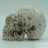 *RESERVED* Fossilised Palm Tree Human Skull (FPT02)