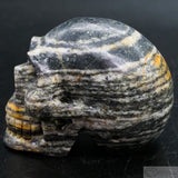 Gneiss Human Skull