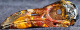 Pietersite Raven Skull