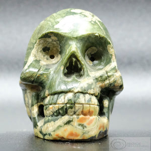 Rainforest Jasper Skull