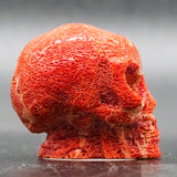 Red Coral Human Skull