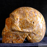 Travertine Onyx Human Skull (TrO02)